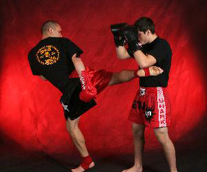 Boxing Kickboxing MMA & Muay Thai